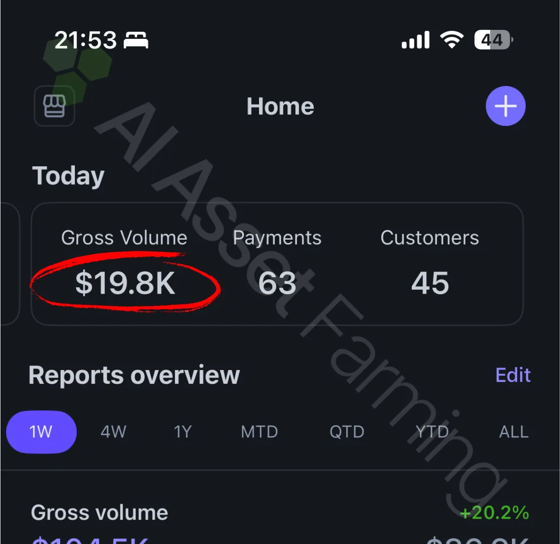 Stripe mobile - $19.8K gross volume today, 63 payments, 45 customers