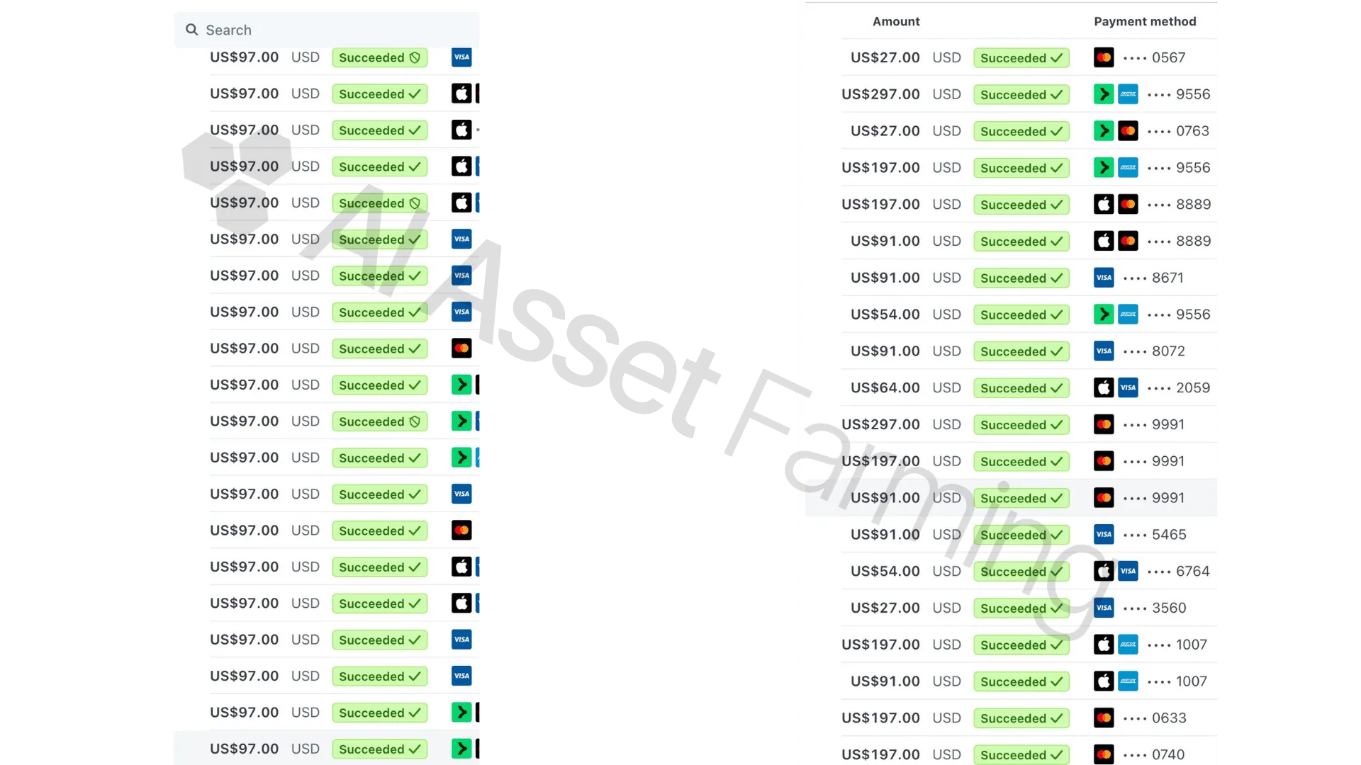 Stripe transactions ledger - succeeded payments grid view